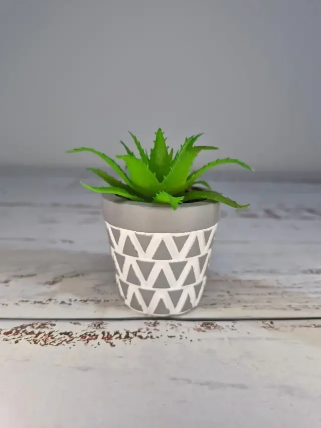 Mini Suculenta Decorativa en Maceta